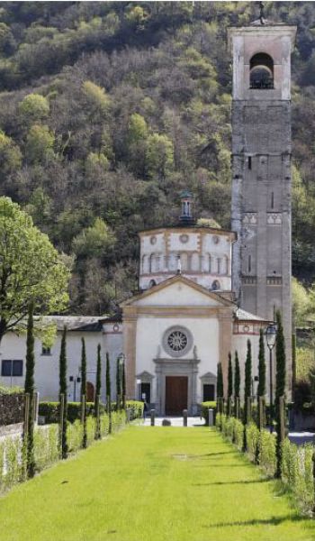 madonna assunta